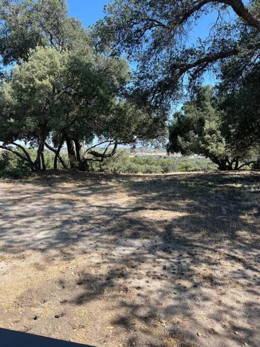 Country Cowboy Hot Tub Hideaway On 20 Acres Villa Borrego Springs Ngoại thất bức ảnh