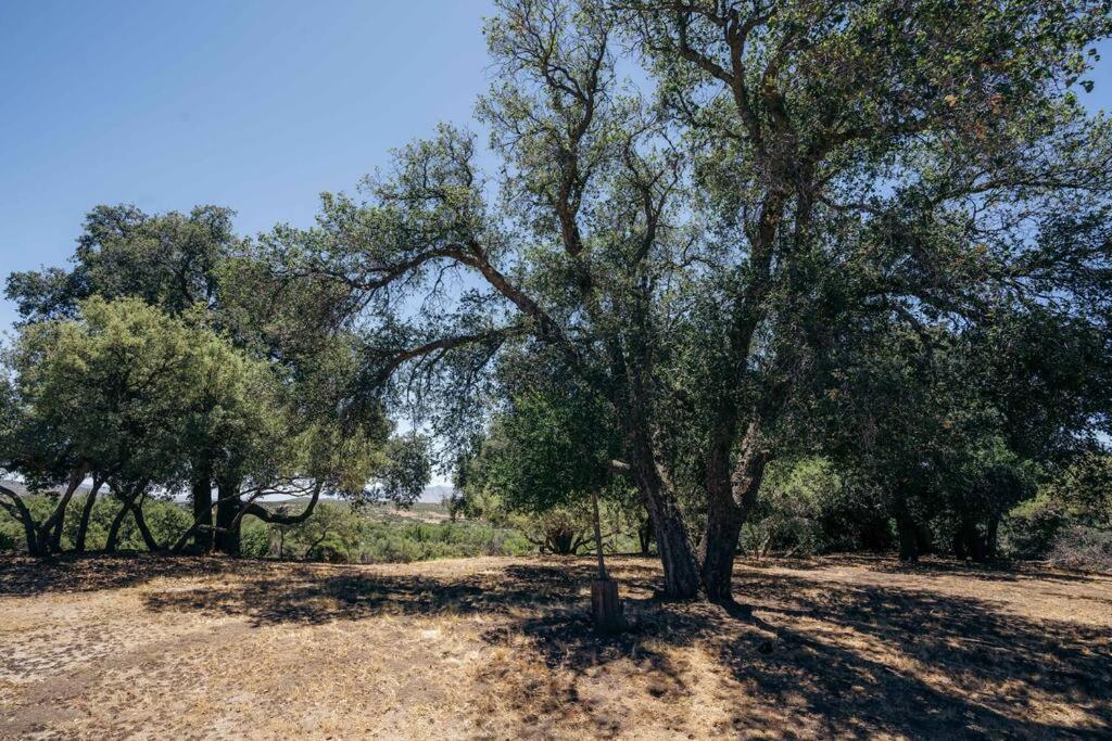 Country Cowboy Hot Tub Hideaway On 20 Acres Villa Borrego Springs Ngoại thất bức ảnh
